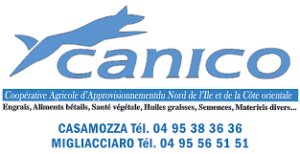logo canico