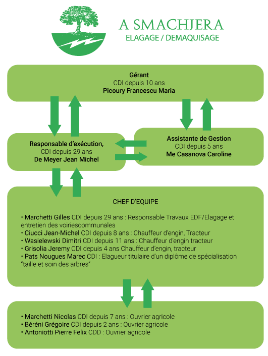 organigramma di smachjera 2026